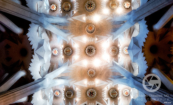 Ceiling - Sagrata Familia - Barcelona
